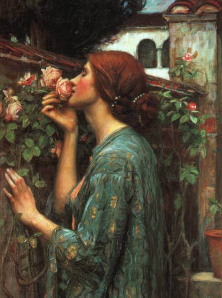 Waterhouse | My Sweet Rose
