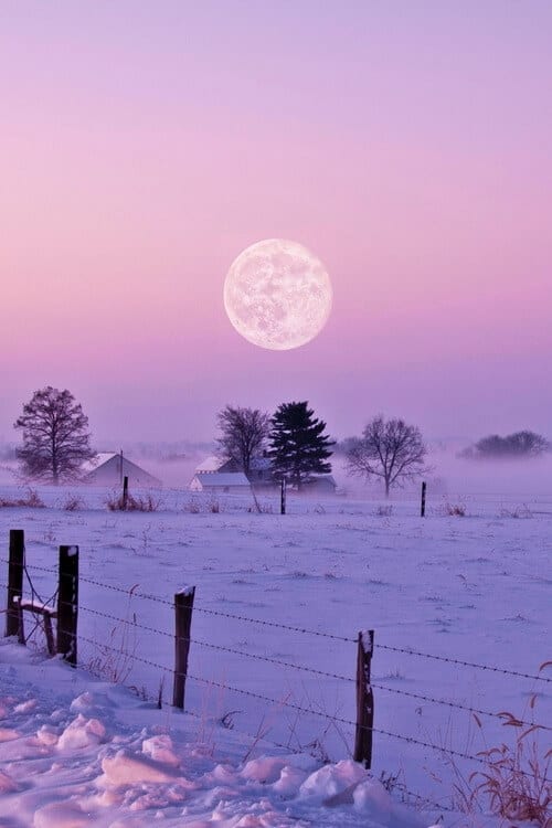Luna de la Nieve